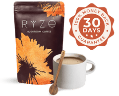 Chai Free Gift Bundle