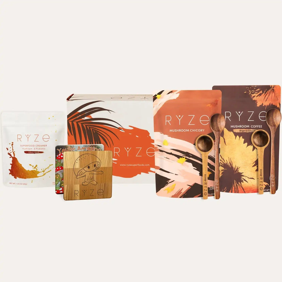 Lasting Energy Bundle (Chicory + Coffee) - Modern Sip Pack